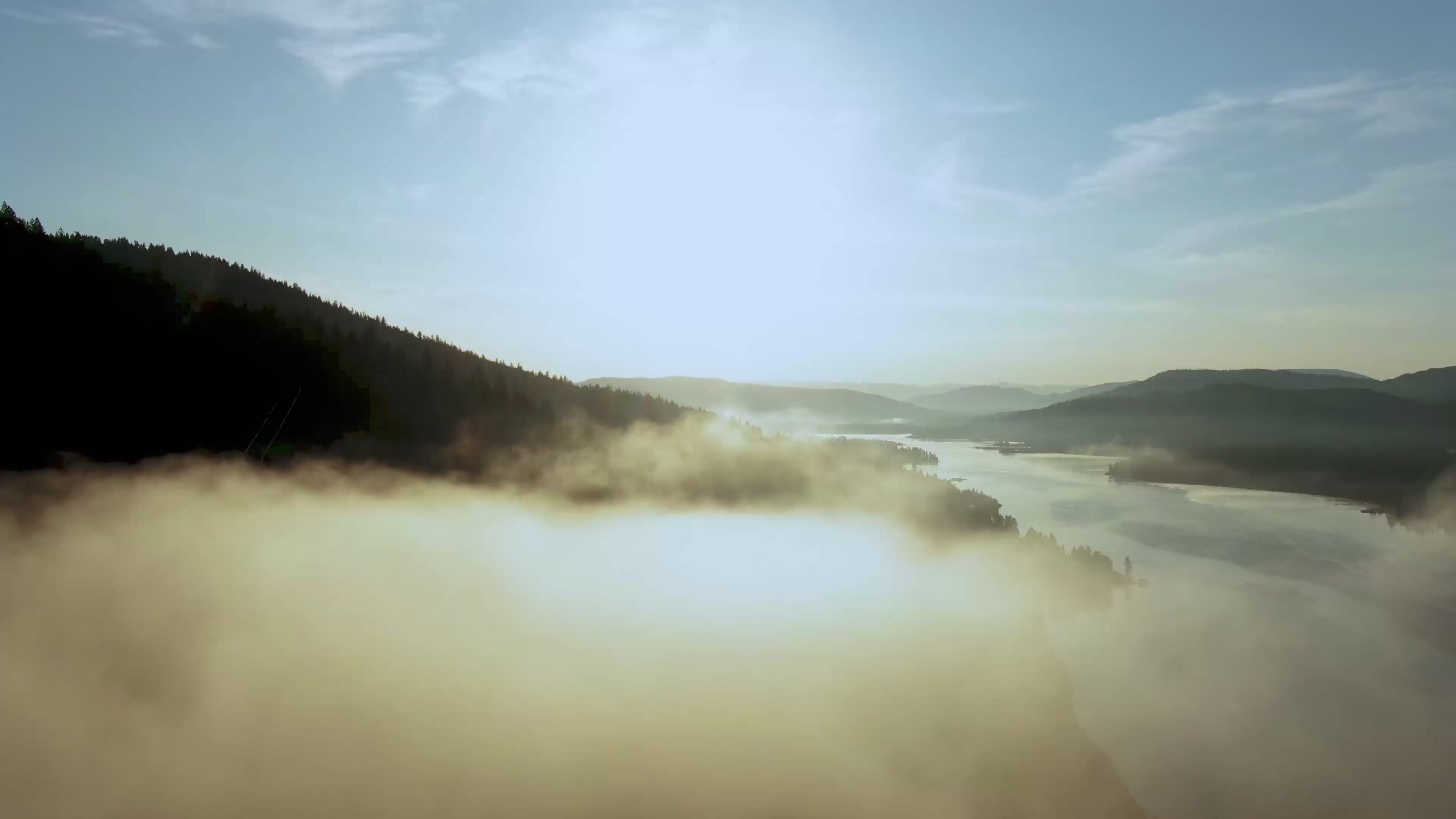 Une vidéo de licornes blanches qui galopent et une bouteille rouge dans la forêt. Avec une musique fantastique en fond