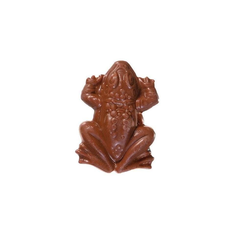 Une grenouille en chocolat sur fond blanc