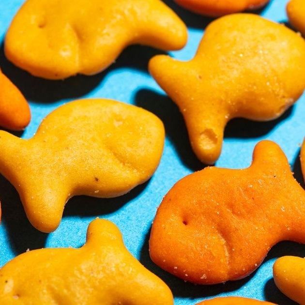 Plusieurs petits biscuits en forme de poisson, le tout sur une table bleue